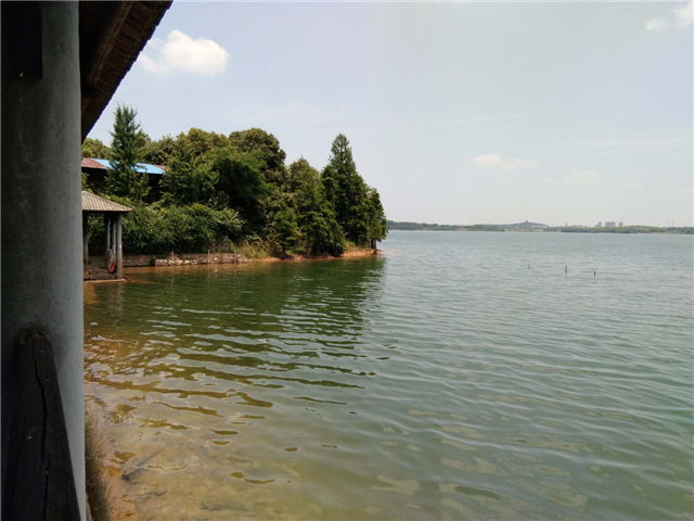 新浦京电子娱乐网站